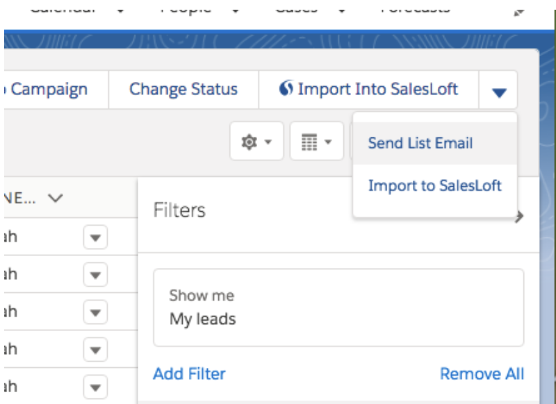 Custom View Import Buttons in Salesforce