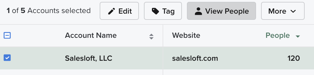View People Linked to the Account.1 .png