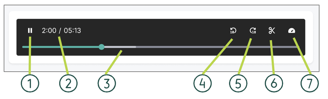 Figure 14: Example: Audio Player on the Recording Details Page