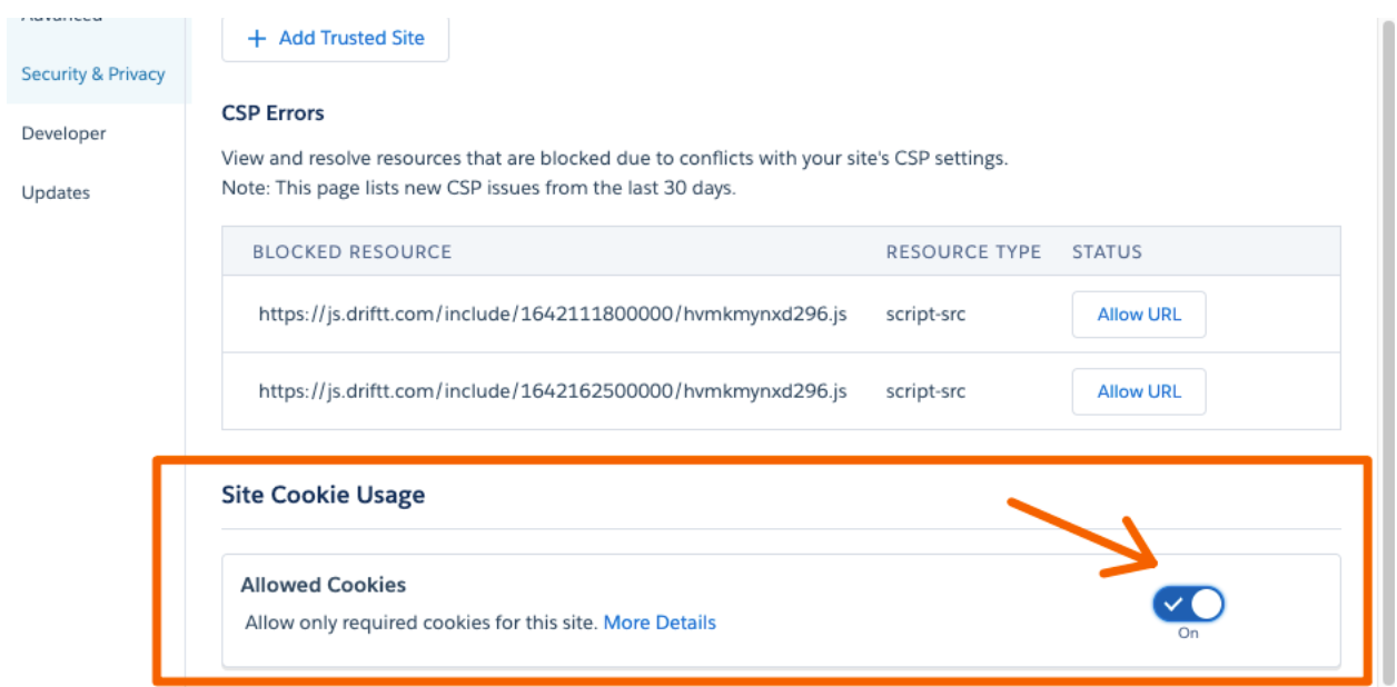 Install_Drift_in_your_Salesforce_Community__Public_Help_Doc_Version__-_Google_Docs (12).png